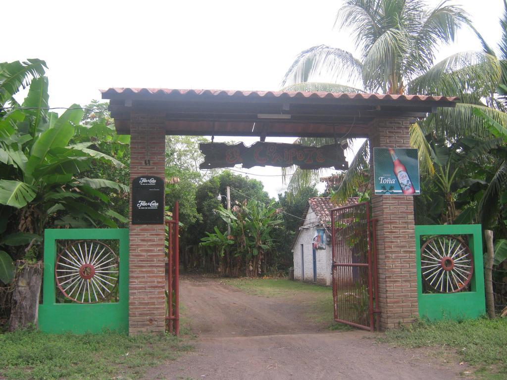 El Mirador Ecologico, Ometepe Hotel Altagracia Eksteriør billede